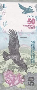 17-Pesos - Serie Fauna 19 Bot 5207 Anverso scaled