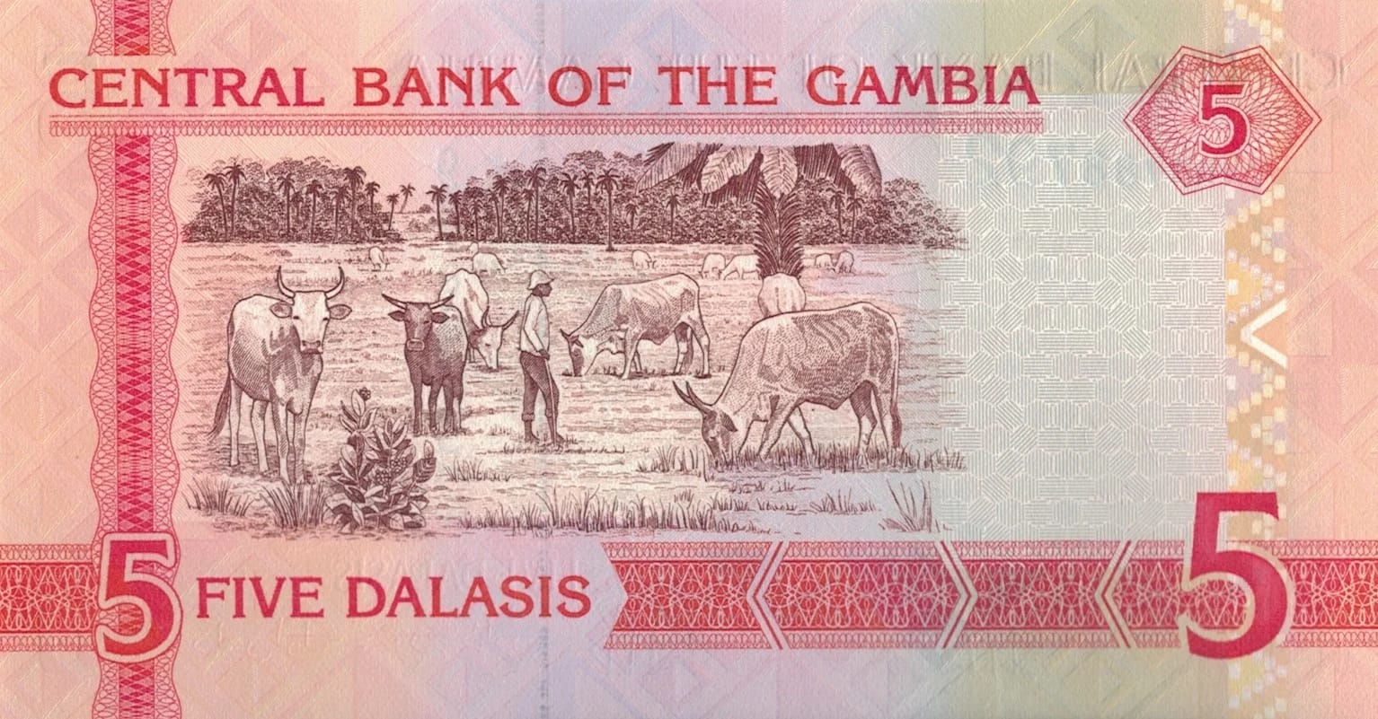 Gambia 6 Pick 25c at jpg