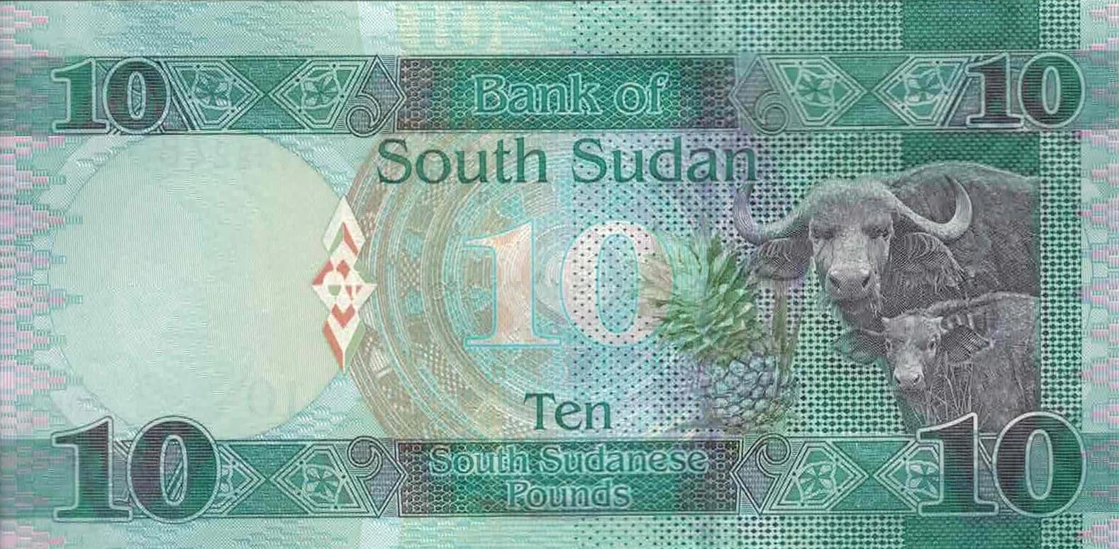 Sudán del Sur 8 Pick 12b at 1 e1679348793613 jpg
