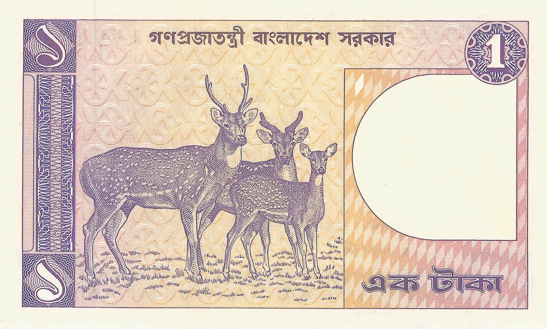 Bangladés 10 Pick 6Bb Reverso