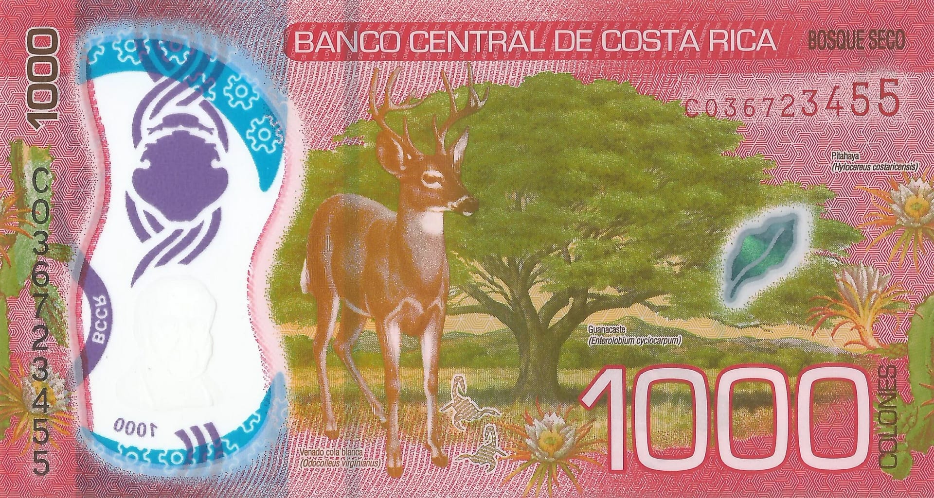 Costa Rica 39 Pick Nuevo 280 Reverso scaled jpg