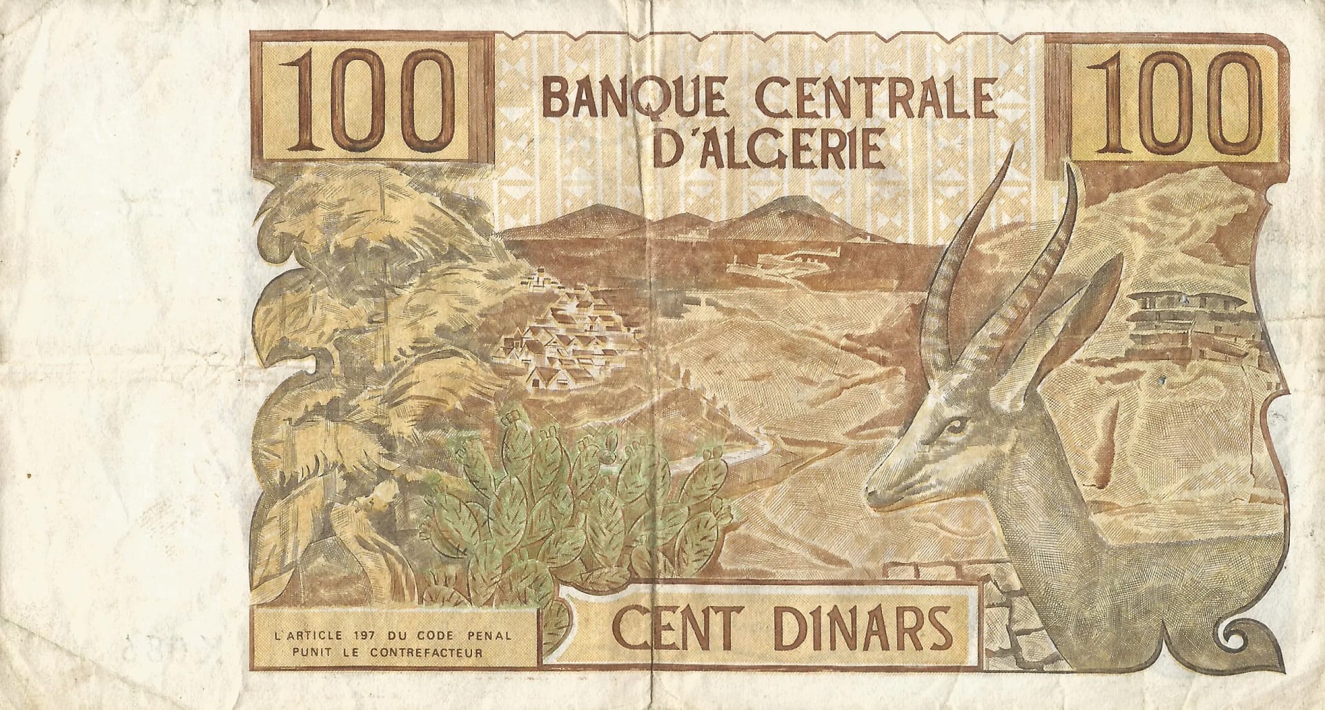 Argelia 31 Pick 128b Reverso scaled