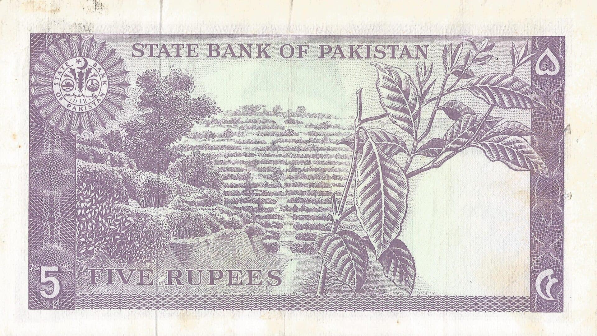 Pakistán 8 Pick 15a.2 Reverso
