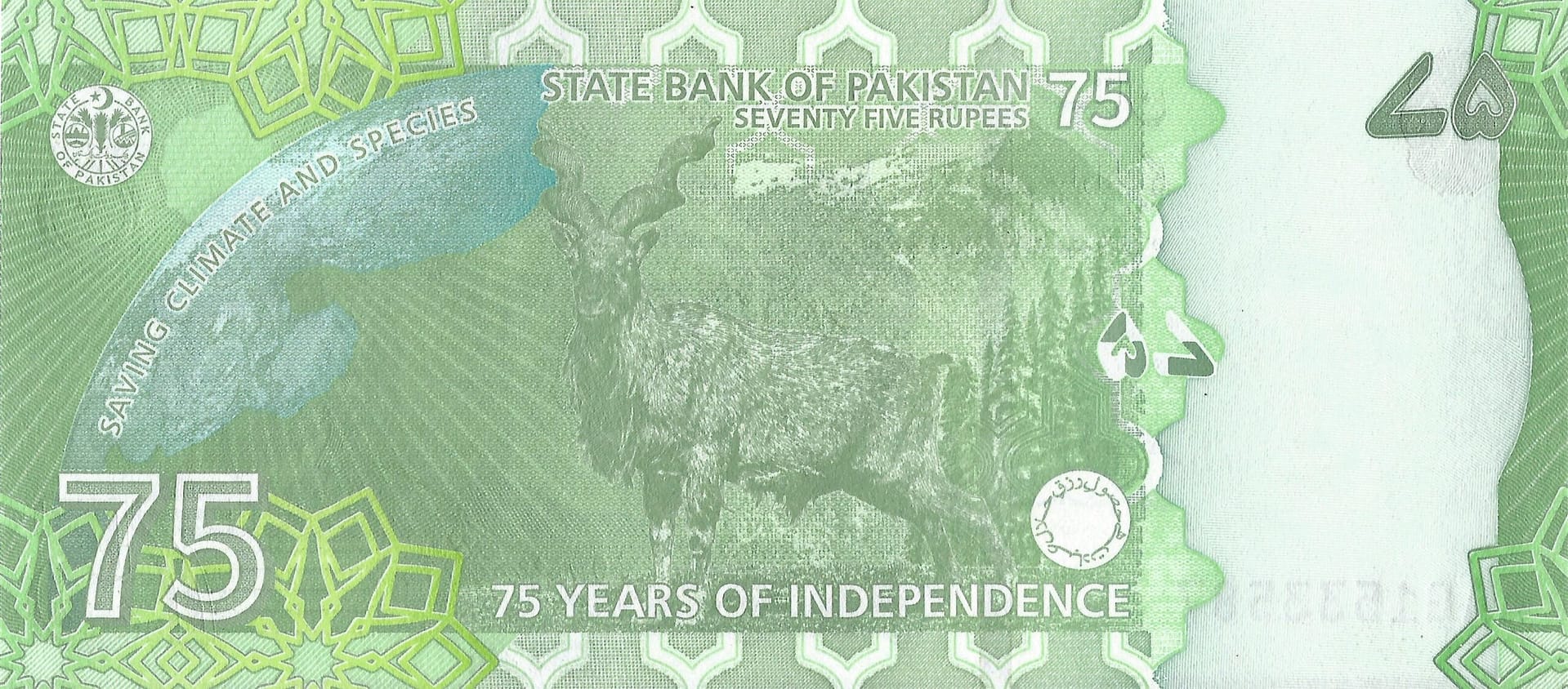 Pakistán 24 Pick Nuevo P 56b Reverso scaled