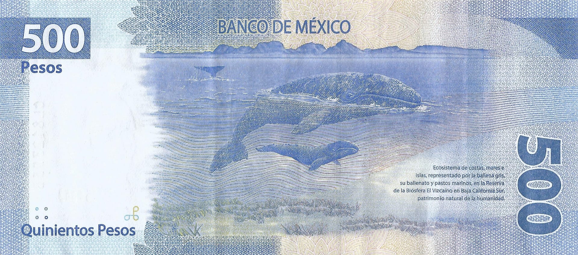 México 64 Pick 136d.3 Reverso scaled