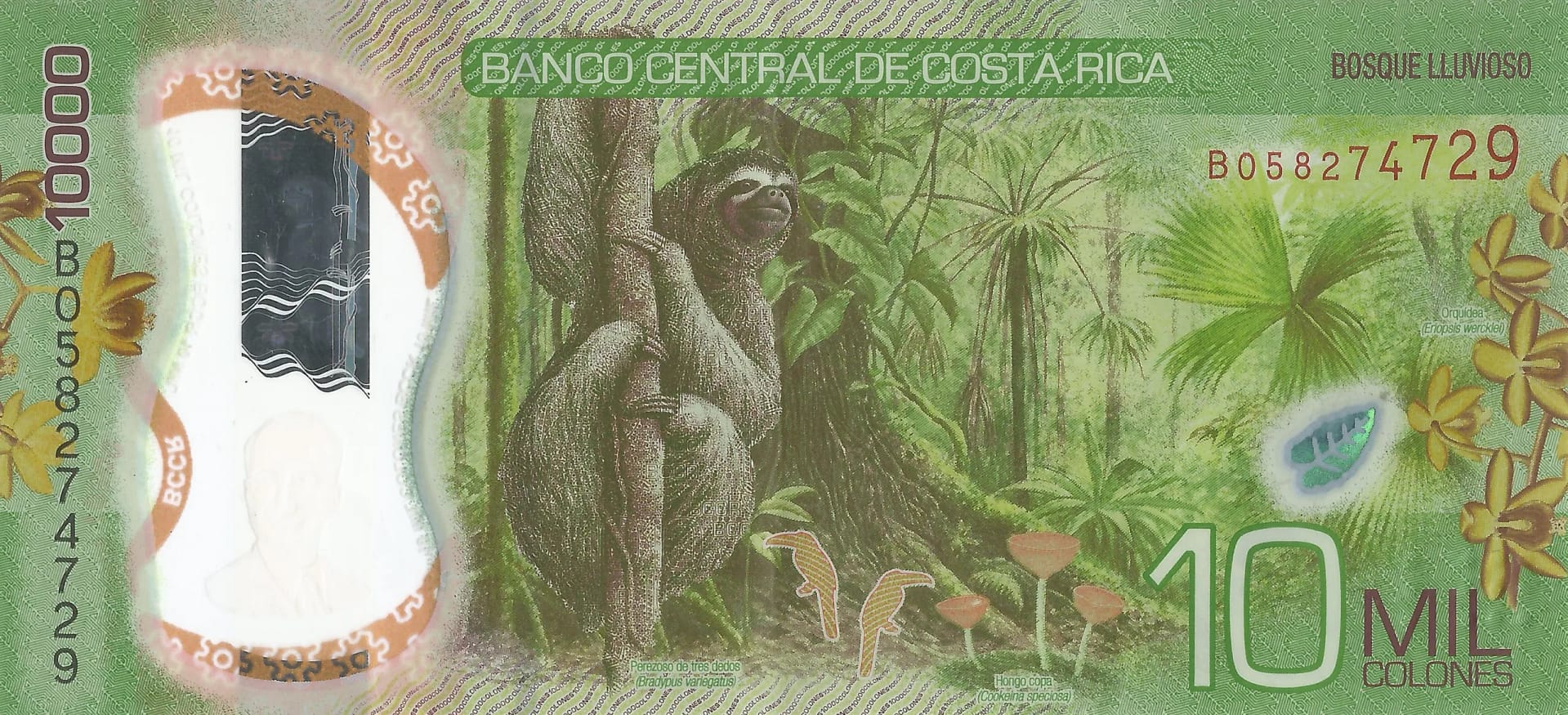 Costa Rica 45 Pick 283a Reverso scaled