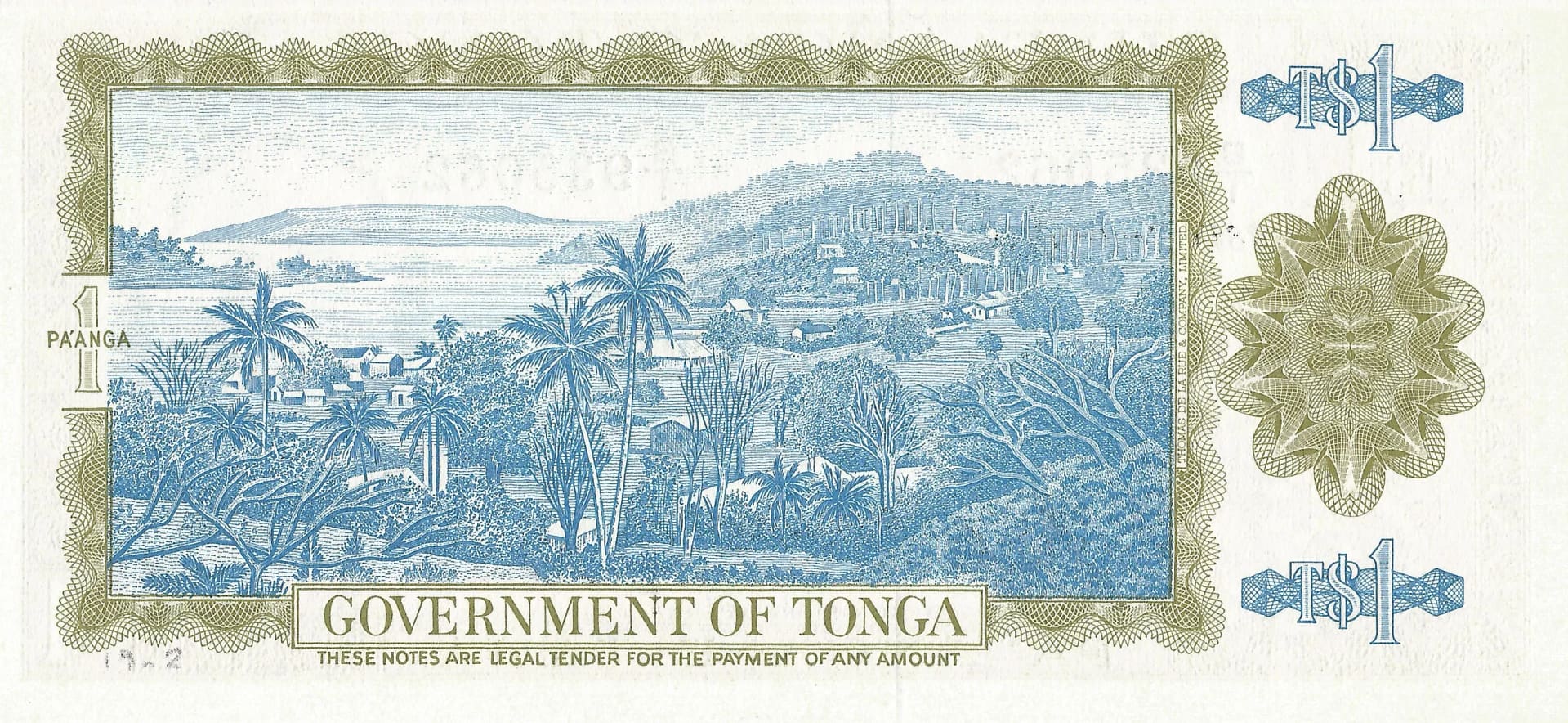 Tonga 8 Tonga Pick 19c15 Reverso scaled