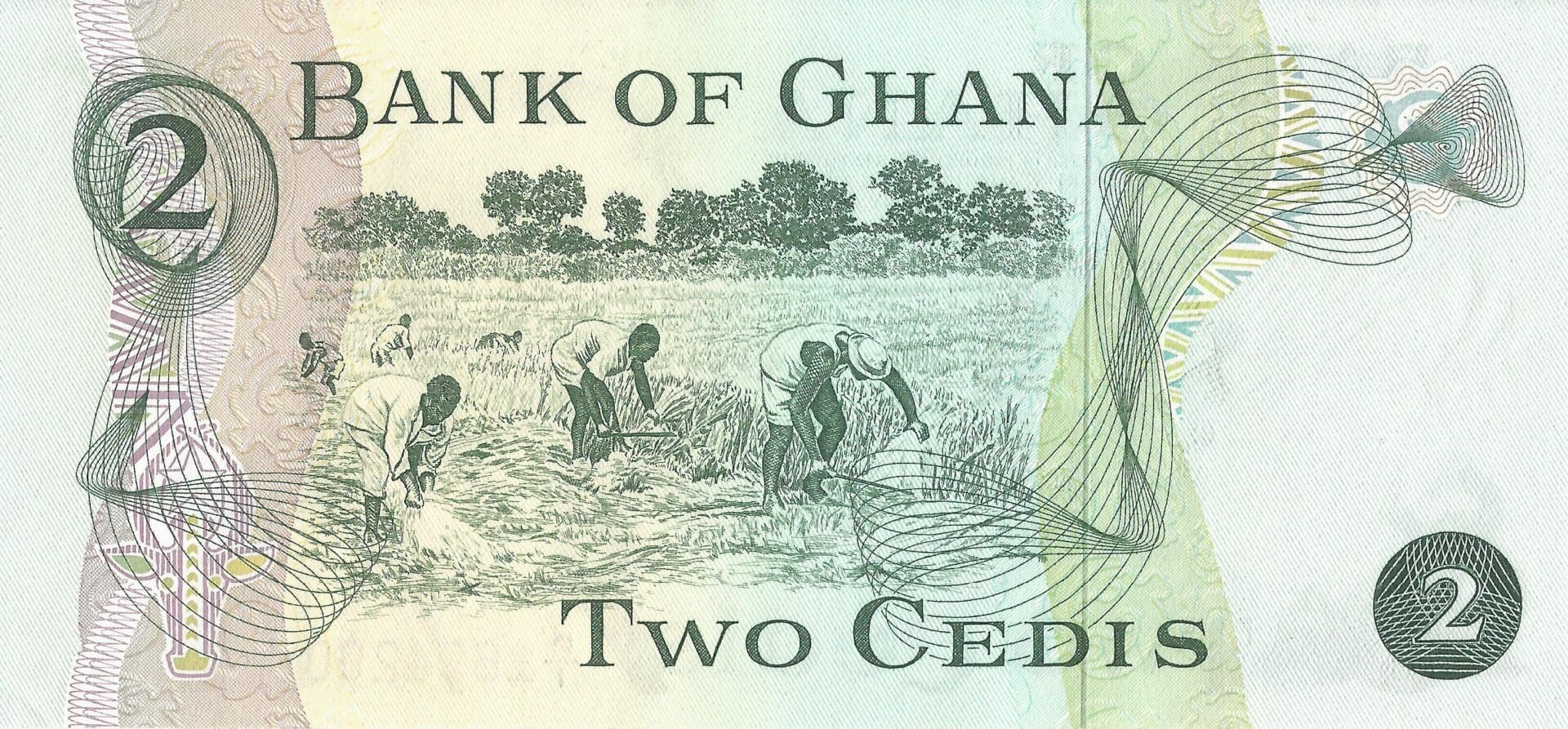 Ghana 8 Pick 14c Reverso