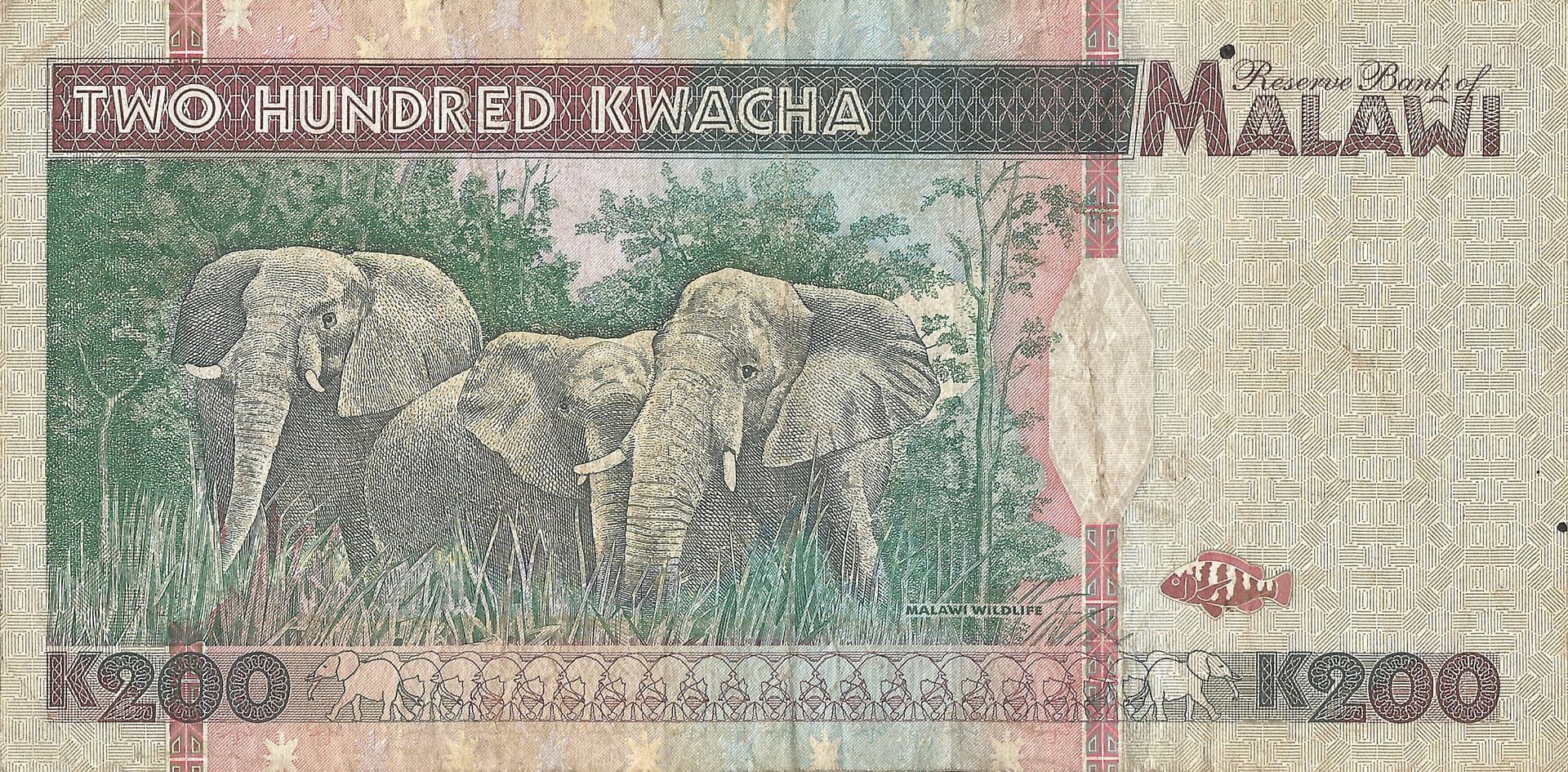 Malawi 6 Pick 35a Reverso scaled