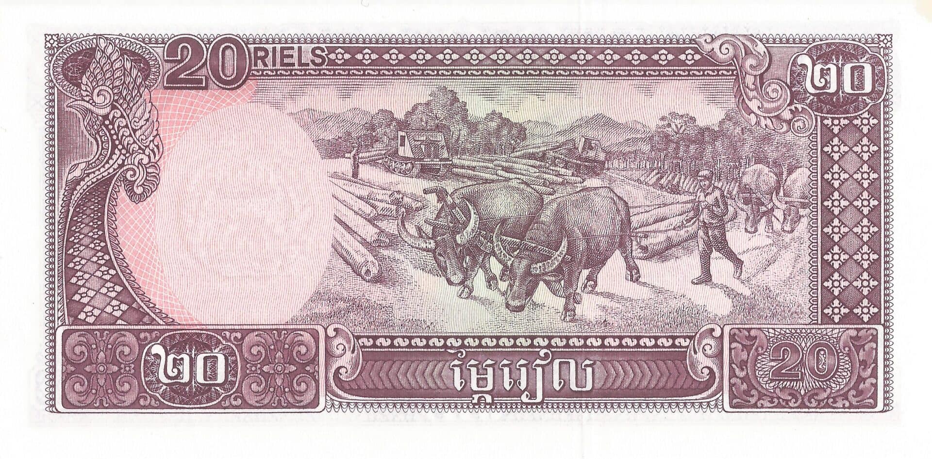 Camboya 36 Pick 31a Reverso