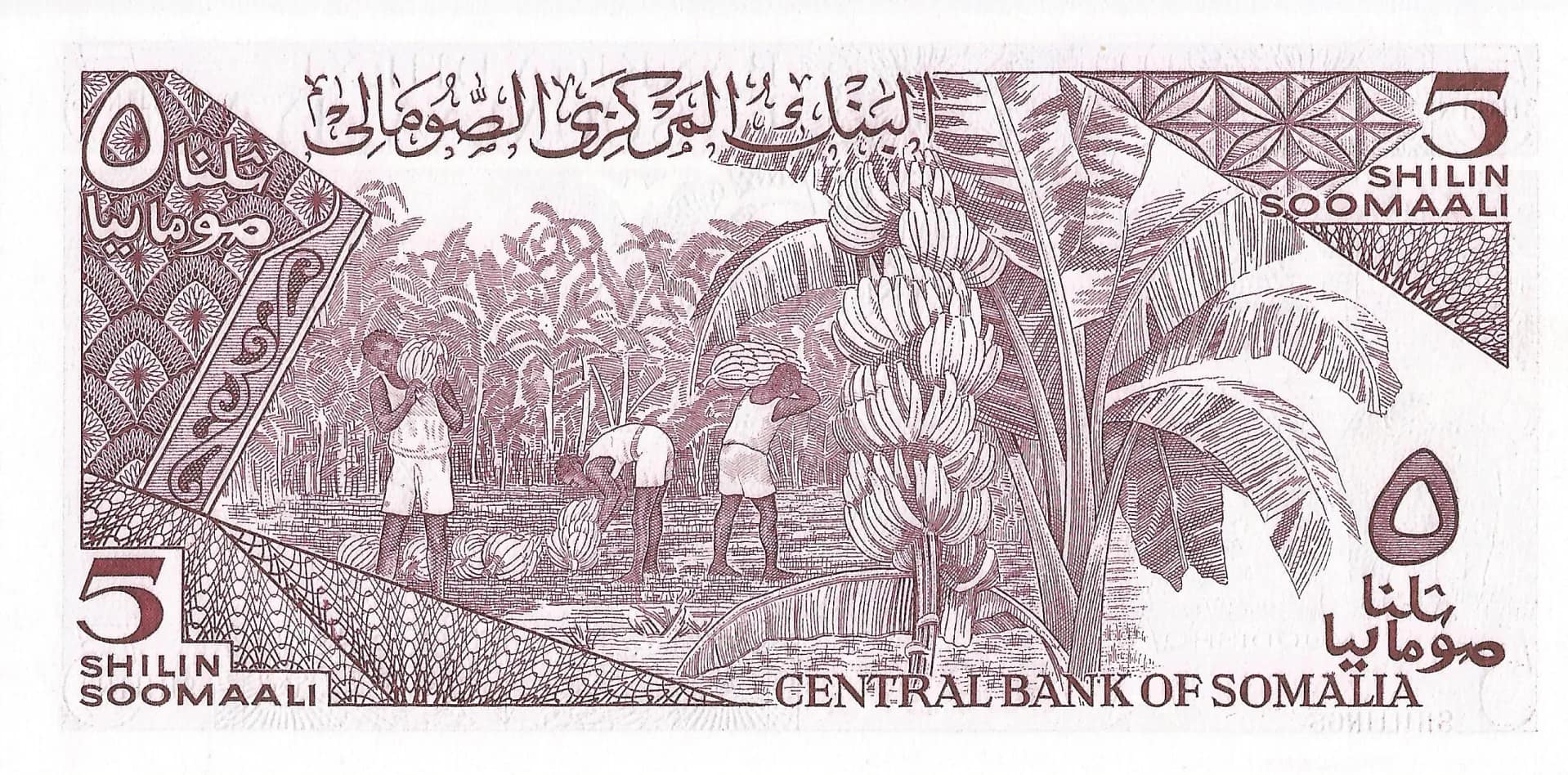 Somalia 8 Pick 31b Reverso scaled