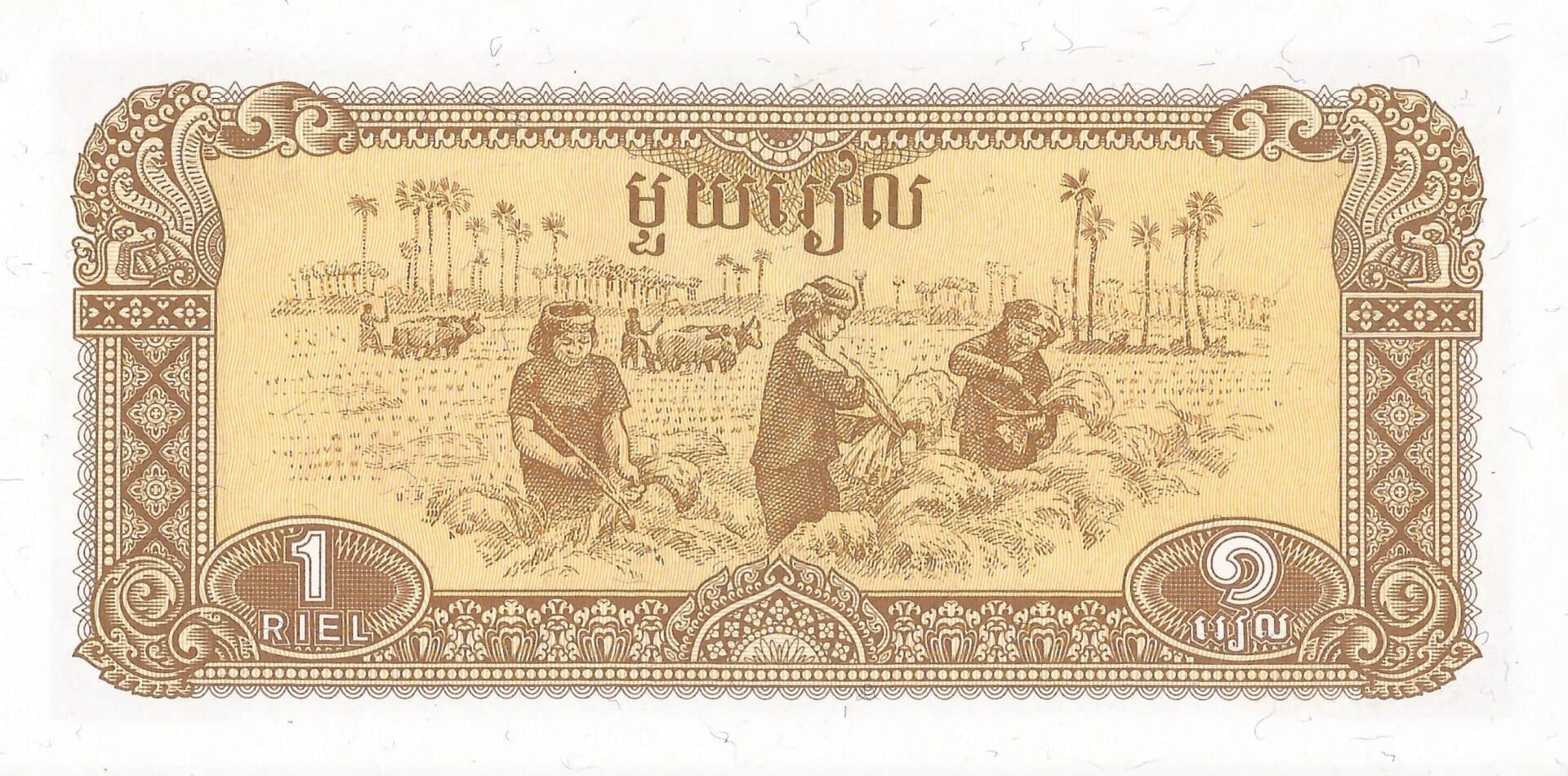 Camboya 32 Pick 28a Reverso