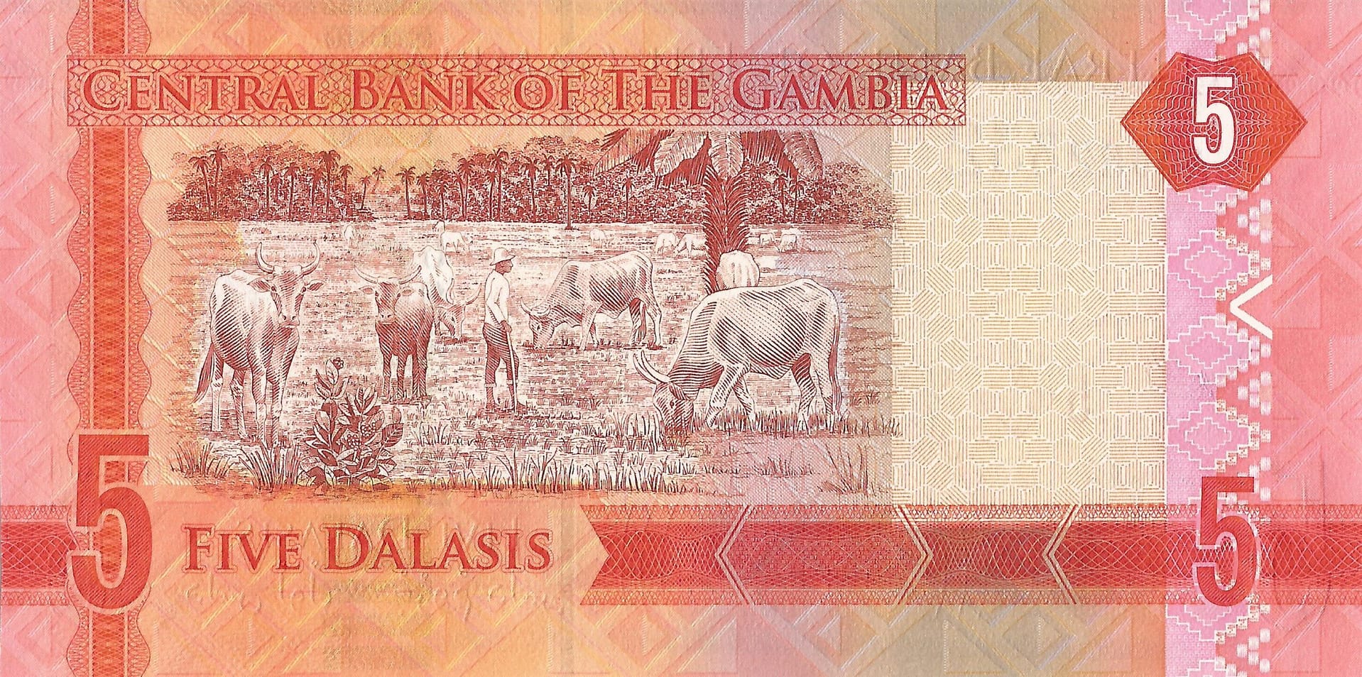 Gambia 12 Gambia Pick 31a Reverso scaled