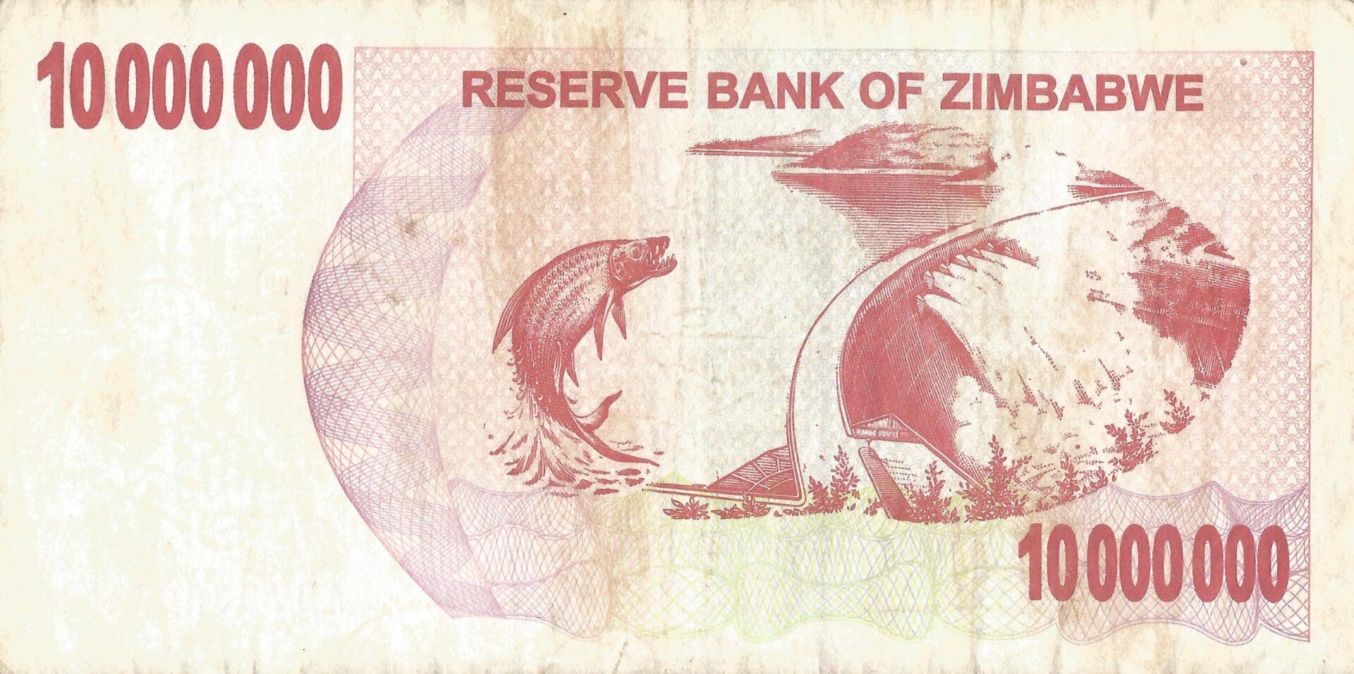 Zimbabue 22 Pick 55a Reverso