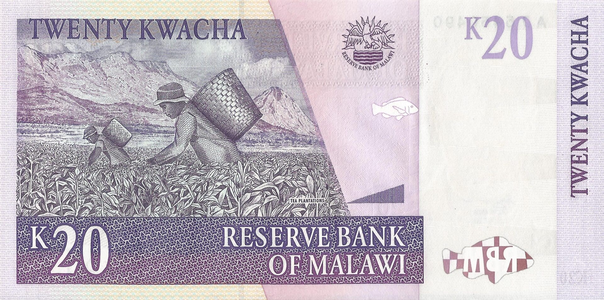 Malawi 8 Pick 52a Reverso