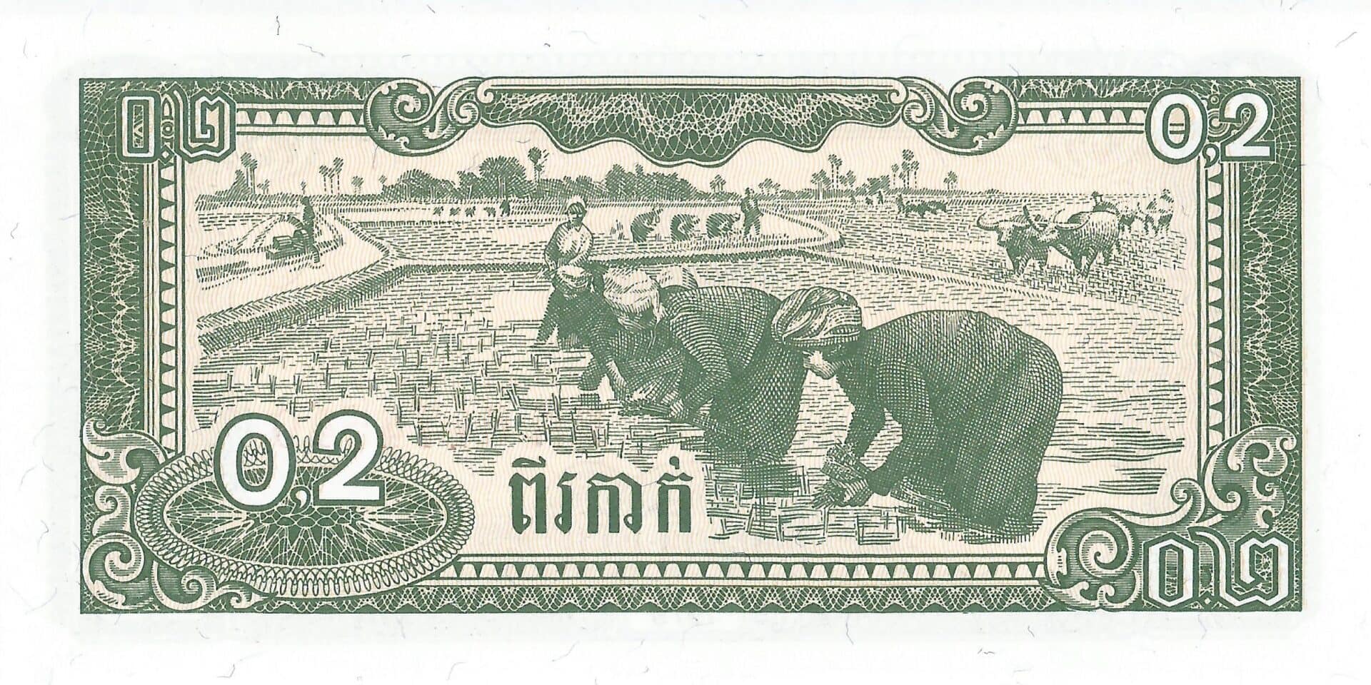 Camboya 28 Pick 26a Reverso