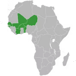 Estados del África y como reconocer sus billetes 1 imagen 2024 10 16 110845775 png
