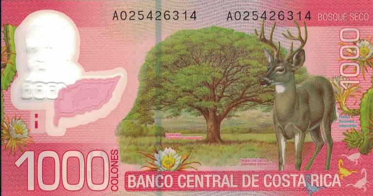 Costa Rica 35 Pick 274a at jpg